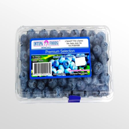 Arándano Blueberry 500 g